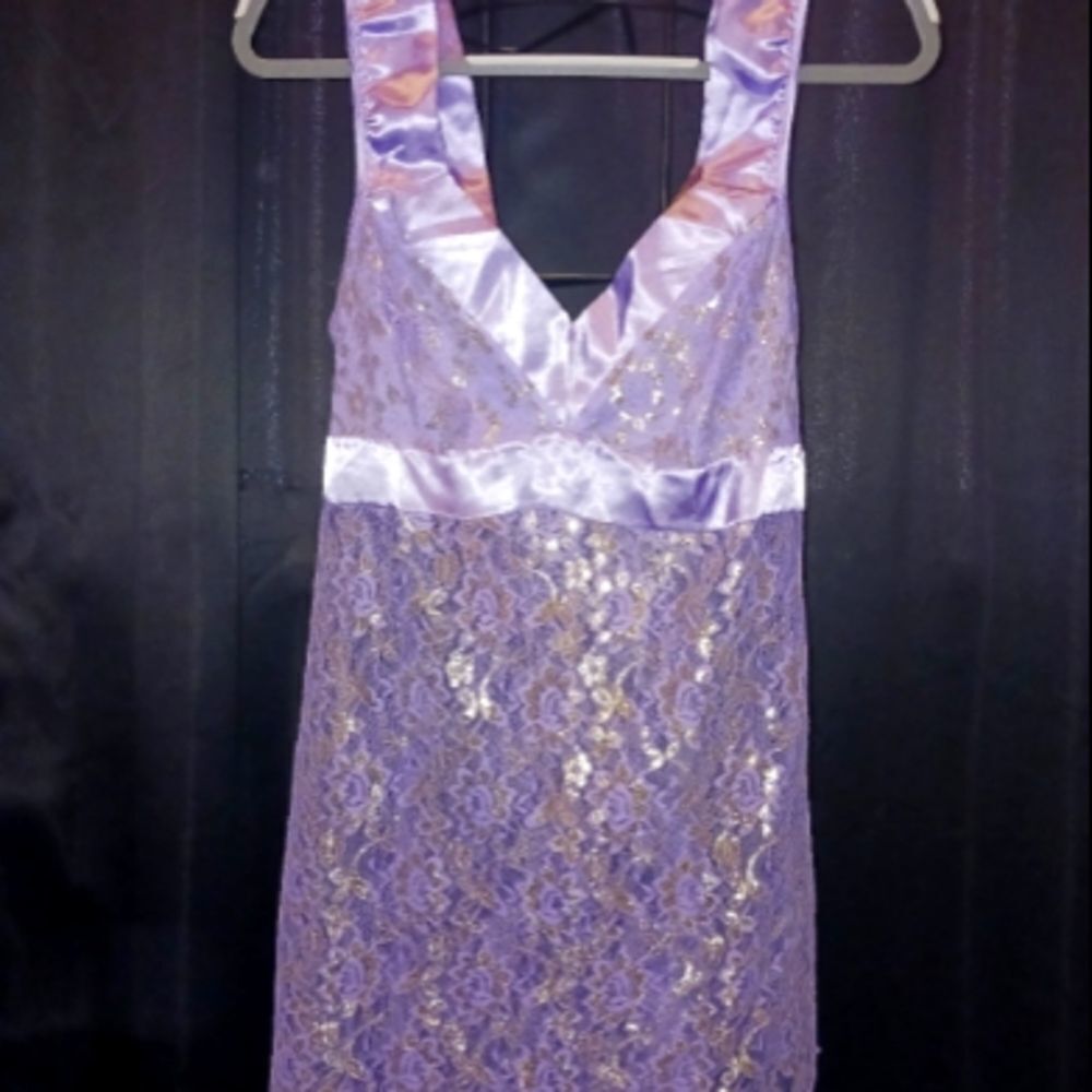 🤠Like New Nylon/Metallic Sheer Lace Dress Size Medium